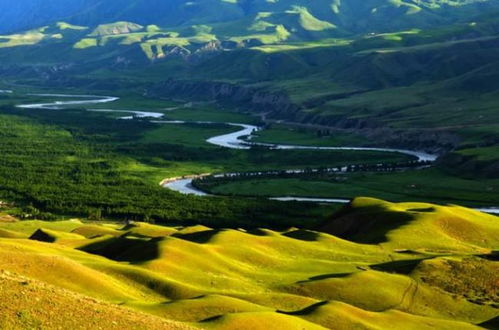 環(huán)境時評丨保護生態(tài)環(huán)境要有定力 經(jīng)濟日報