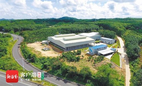 澄邁實施產業(yè)扶貧項目94個 投入扶貧資金3359萬元