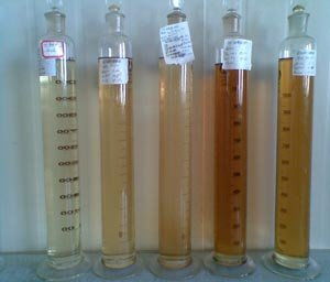 新疆理化所 高端酯類系列潤滑油研制 項目通過驗(yàn)收