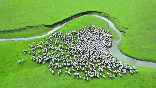 新疆 以環(huán)保為基，升級(jí)設(shè)施與服務(wù)，打造高品質(zhì)旅游新名片